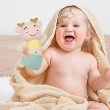 Baby Hand Rattles